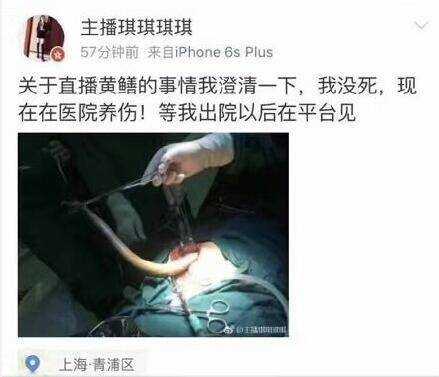 黄鳝视频女主在线播放（黄鳝视频女主在线播放）