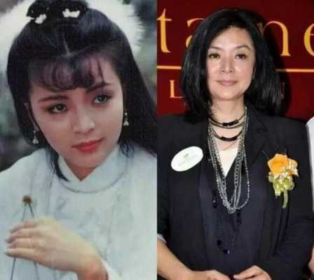 陈玉莲版天龙八部第三季（天龙八部陈玉莲版82演员表）